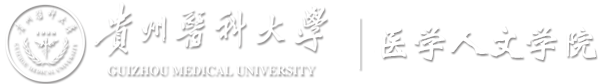 365足球网站